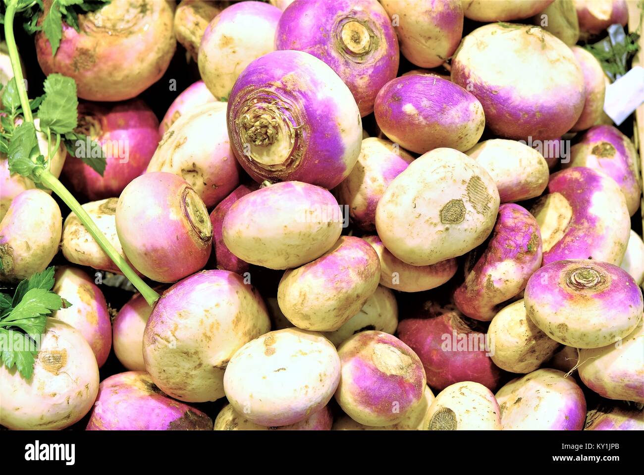 Turnips for sale Stock Photo Alamy