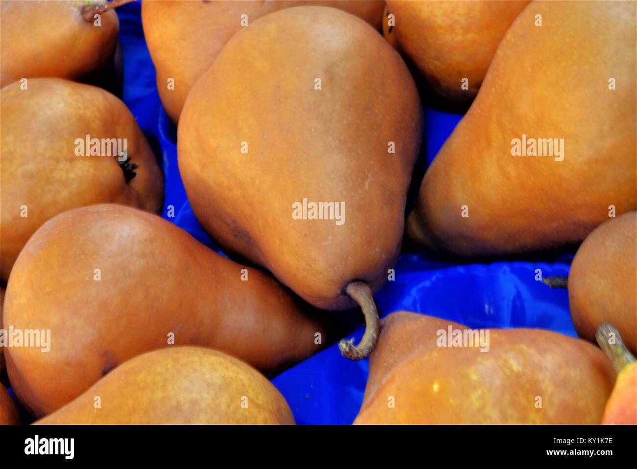 Brown Conference Pears for sale Stock Photo