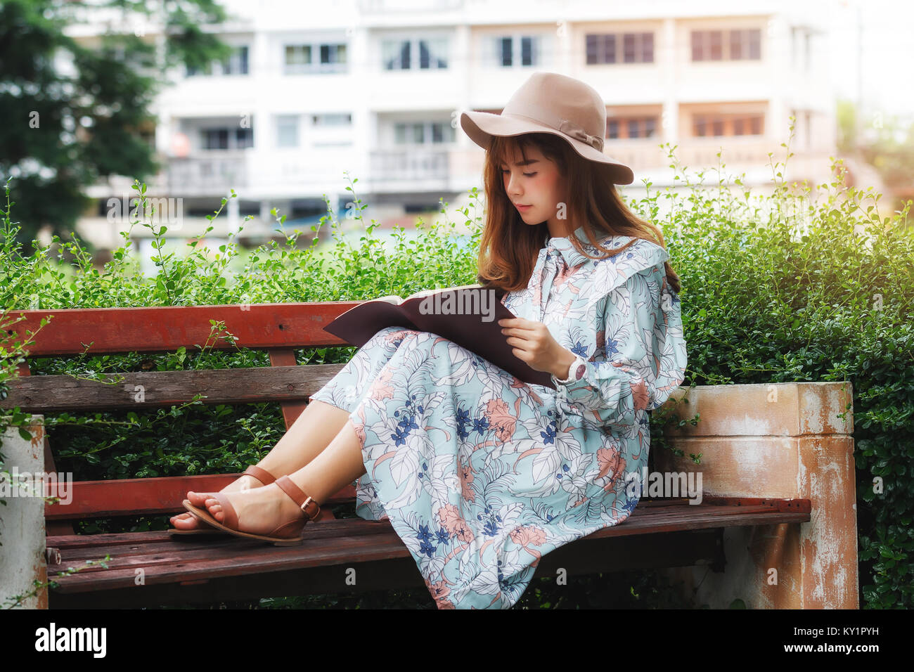 Young asian woman reading a book on the bench in park Stock Photo - Alamy