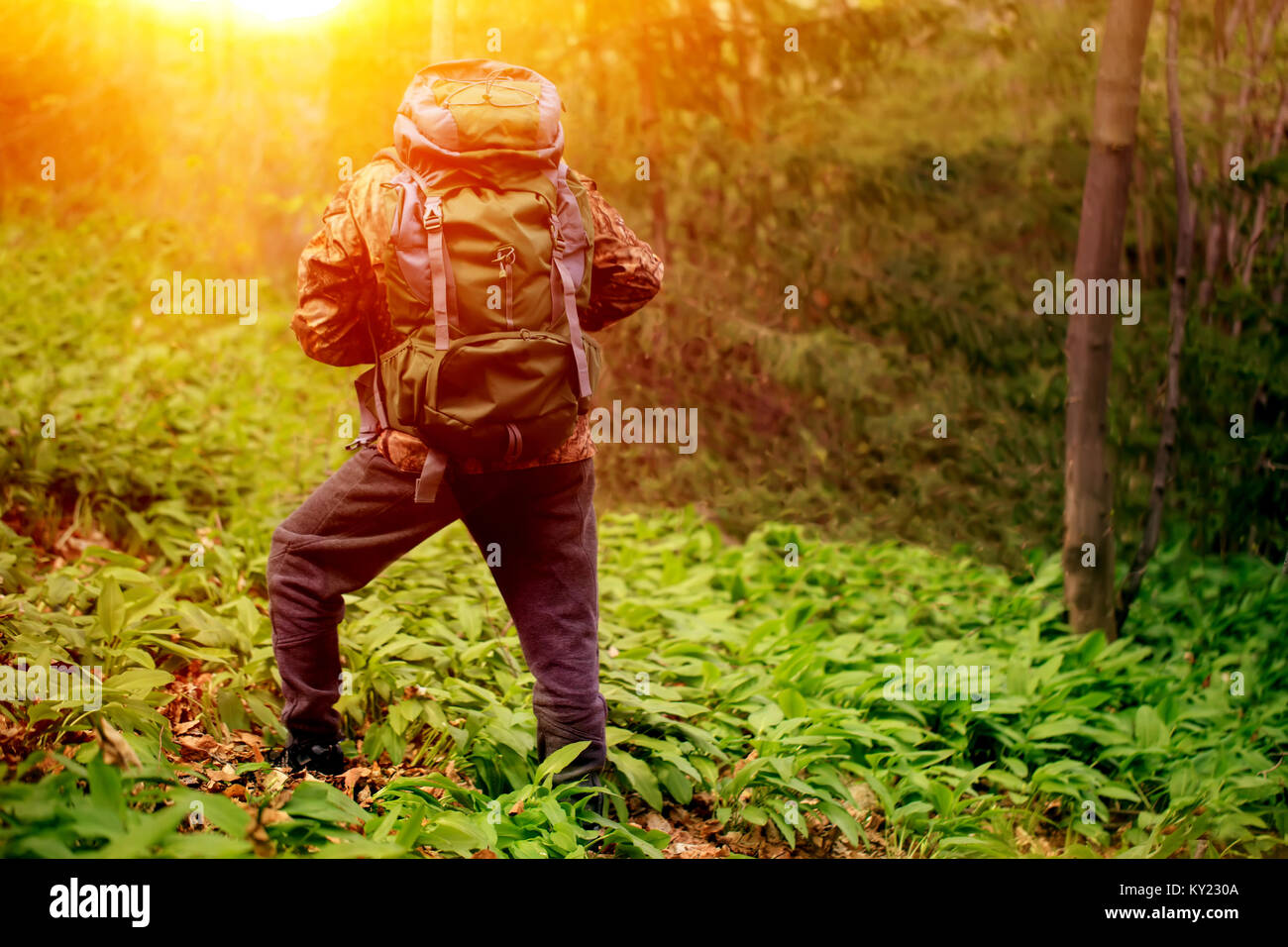 Make hiker carrying backpack in forest, HDR sunrise travel background Stock Photo