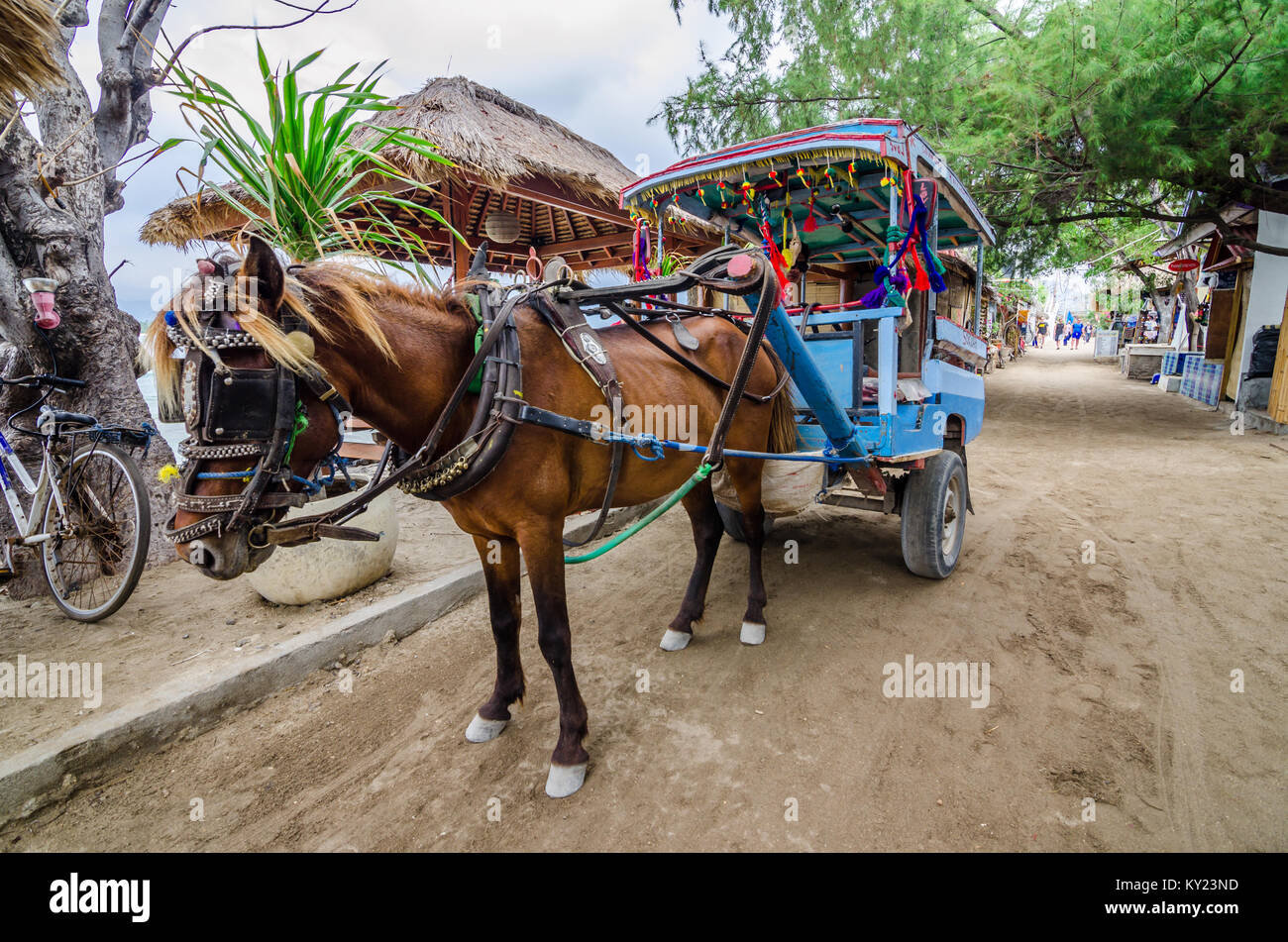 Beautiful Gili Trawangan, or simply Gili T, is the largest of the three Gili Islands off Lombok. House riding is one of the transportation mode. Stock Photo