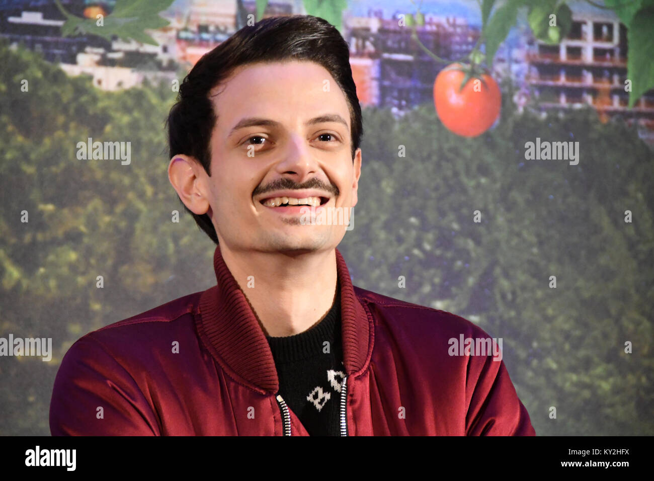 Rome, Italy. 12th Jan, 2017. at Hotel the st. Regis - Photocall movie IL VEGETALE - Fabio Rovazzi in the role of Fabio Credit: Giuseppe Andidero/Alamy Live News Stock Photo