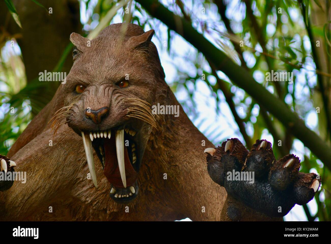 Sabre toothed cat hi res stock photography and images Alamy