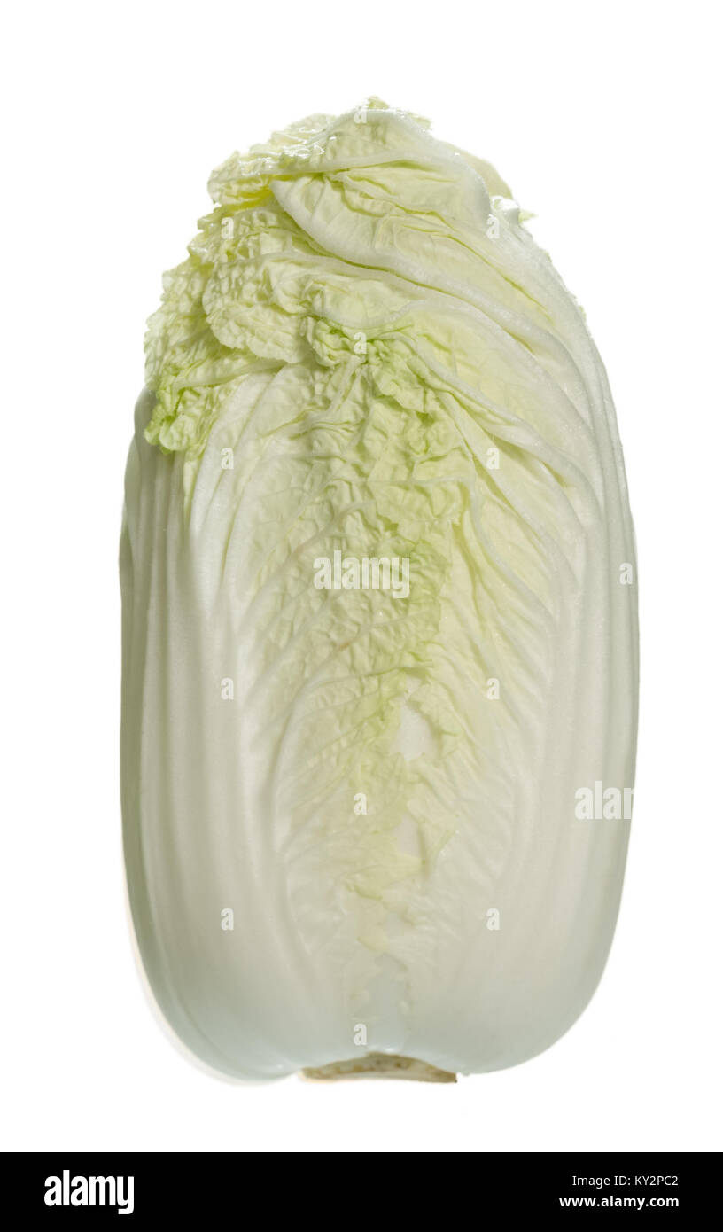 One lofty Beijing cabbage on light background. Stock Photo