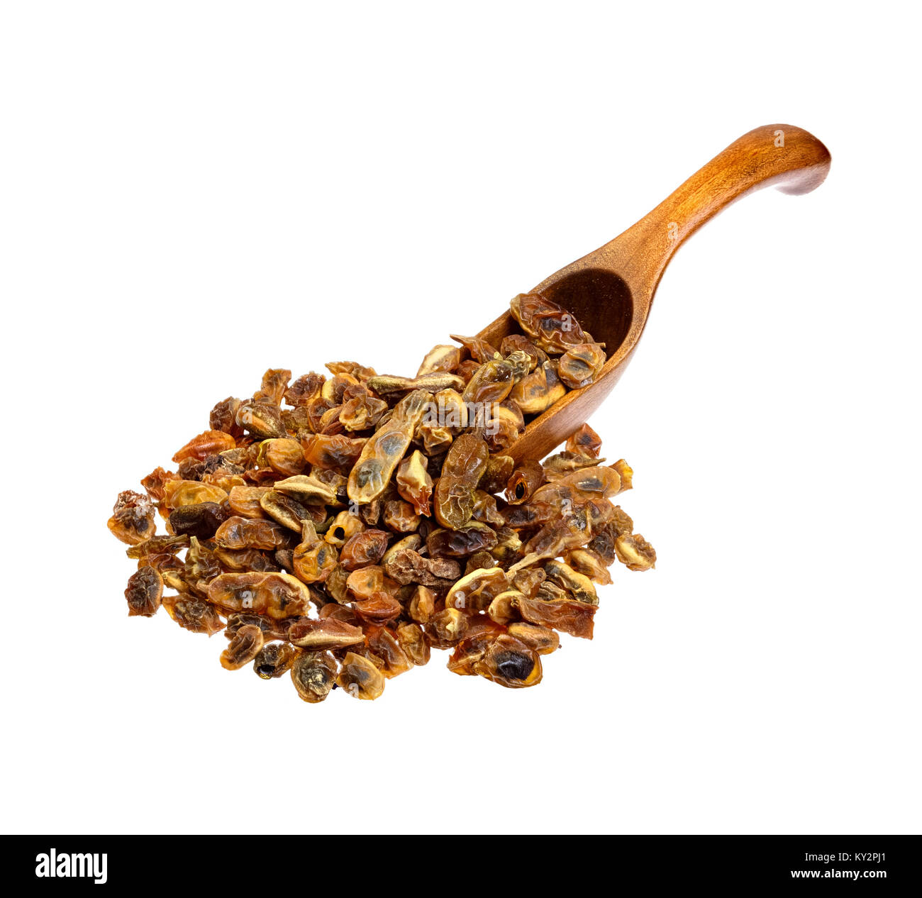 Dried sophora japonica beans on the wooden spoon. Stock Photo