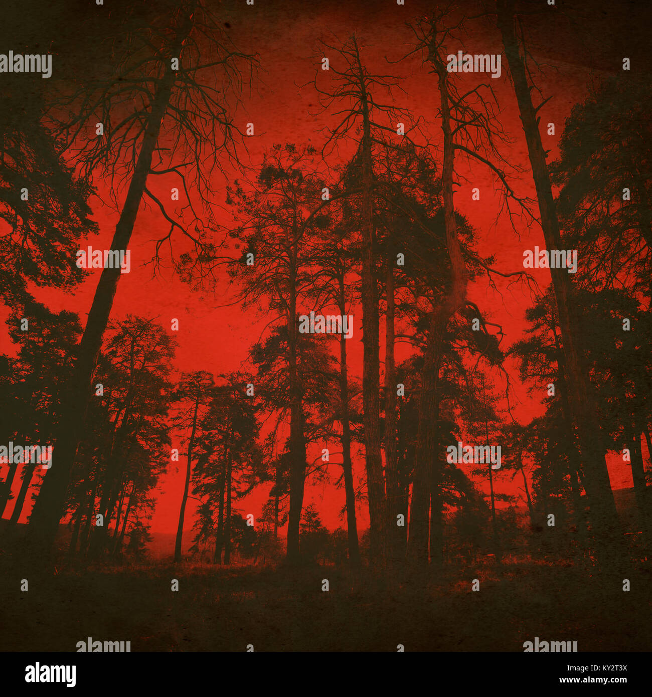 Abstract Horor Red Fores Art Background Vintage Textured Style Stock Photo Alamy