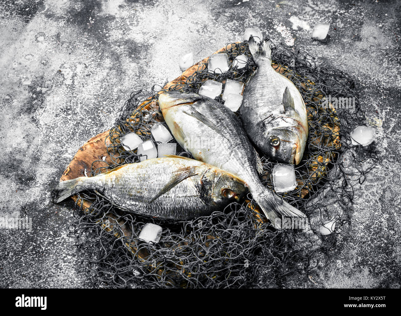 Fresh Dorado fish with ice cubes. On a rustic background Stock Photo ...