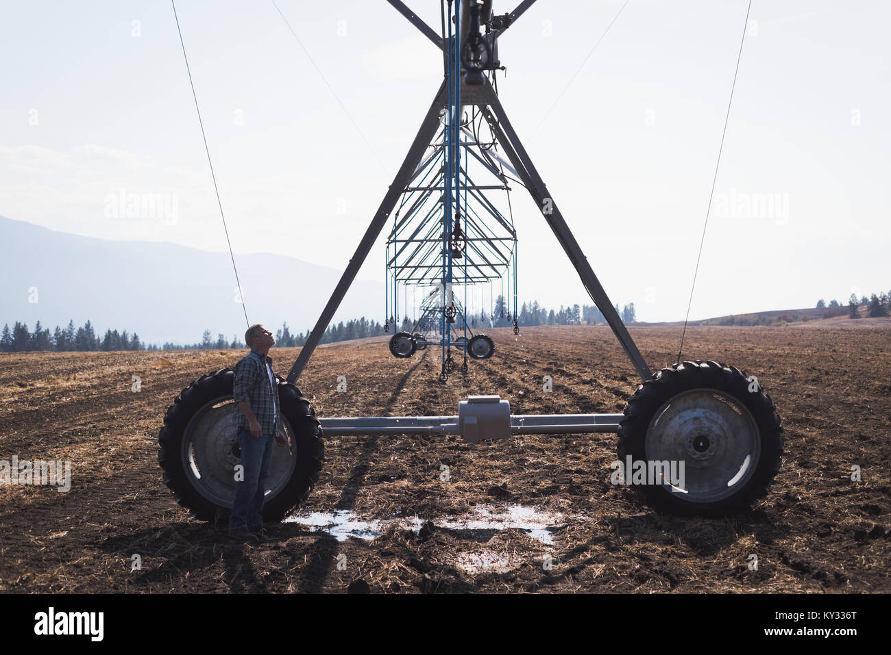 Automated farming hi-res stock photography and images - Alamy