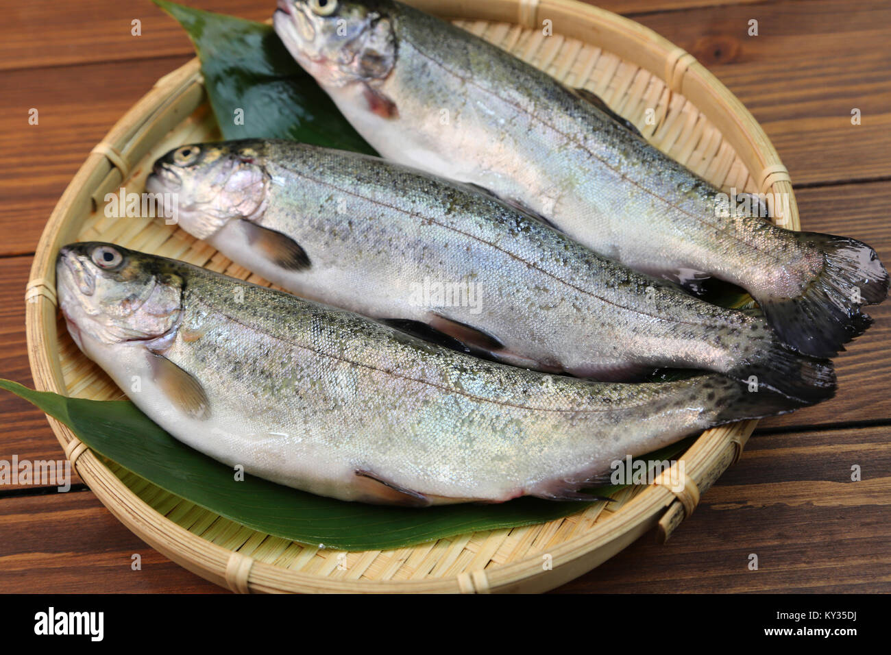 Japanese trout hires stock photography and images Alamy