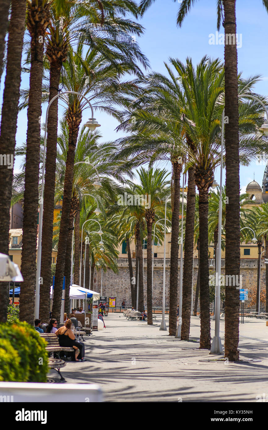 Genoa (Genova), Italy - Walking alley with tall palm trees in the Old Harbor Stock Photo