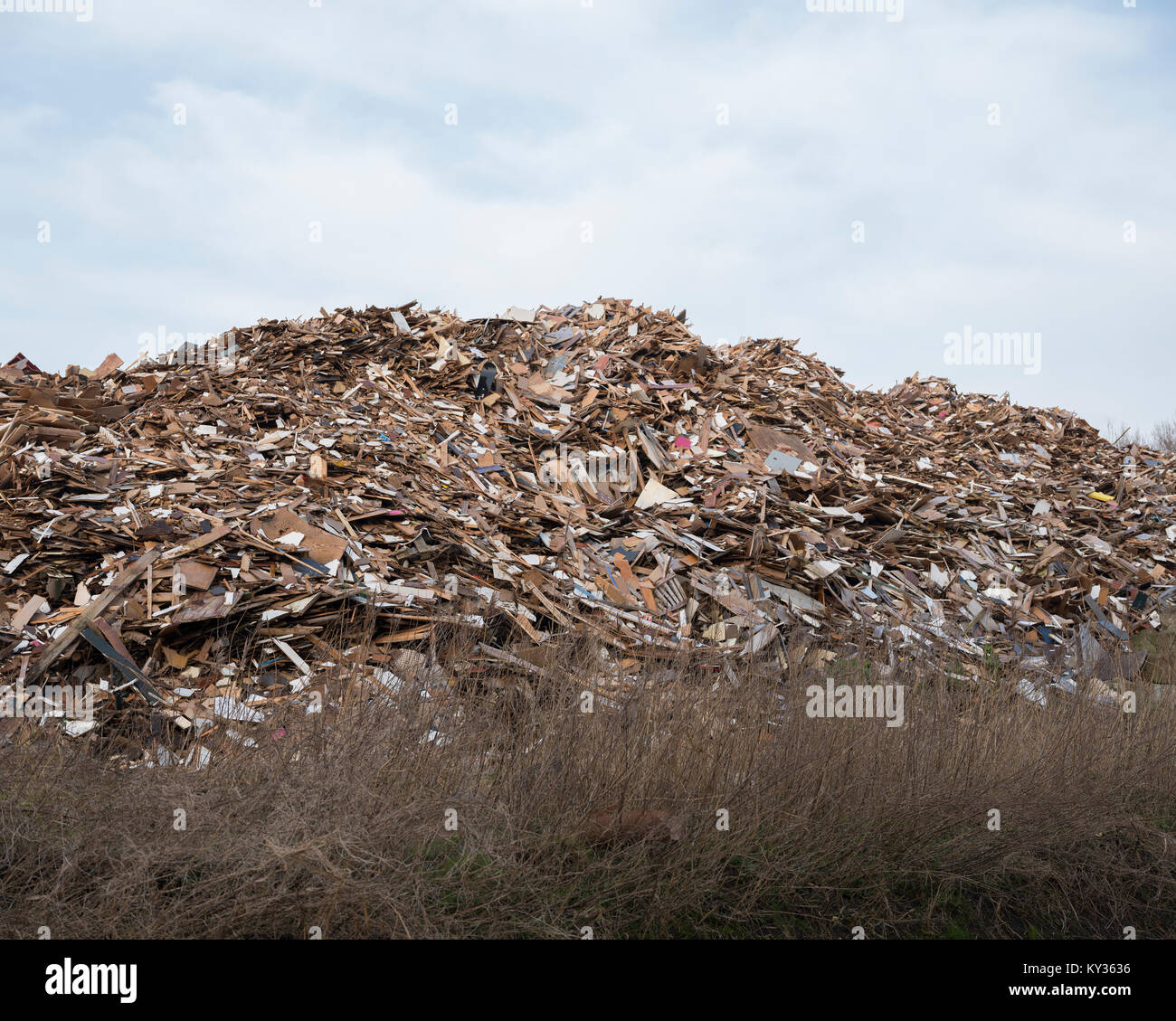waste dump of wood in the netherlands at almere in province of