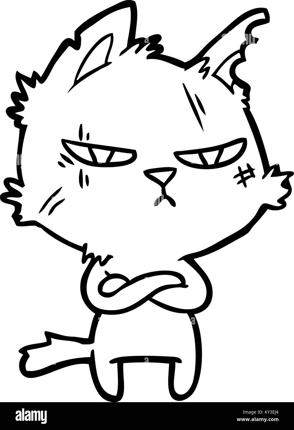 tough cartoon cat folding arms Stock Vector Image & Art Alamy