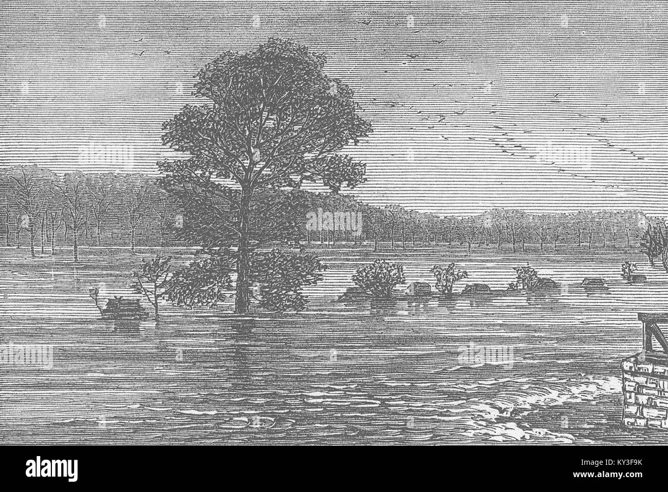 TENNESSEE Floods Cumberland River, from Rail Bridge 1874. Illustrated