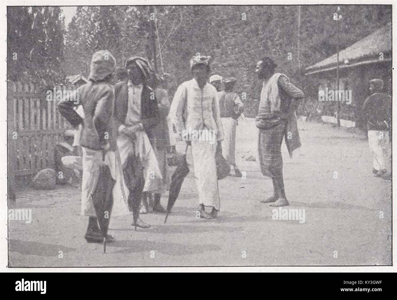 A Group of Canganies at Hatton Stock Photo Alamy
