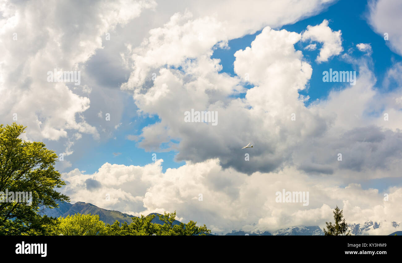 A Glider flying in bleu sky with big white clouds. The glider is a plane that has no engine Stock Photo