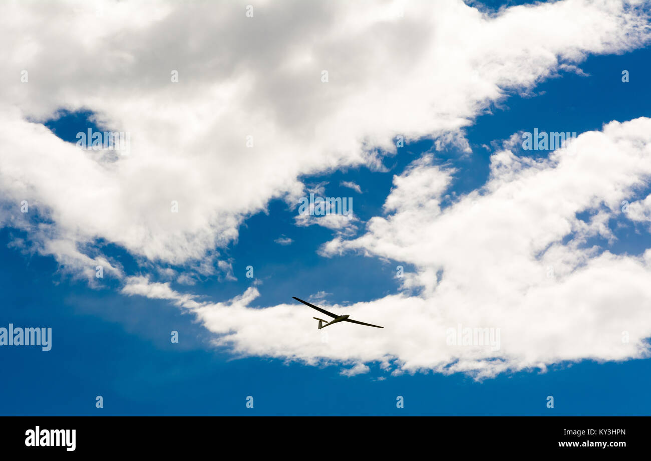 A Glider flying in bleu sky with big white clouds. The glider is a plane that has no engine