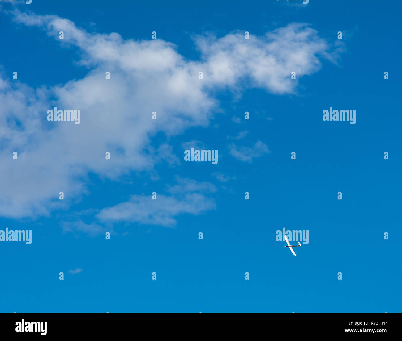 A Glider flying in bleu sky with big white clouds. The glider is a plane that has no engine Stock Photo