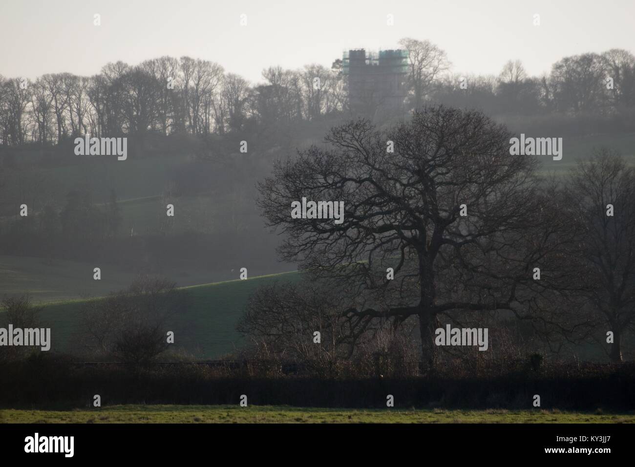 Powderham Folly Tower under Scaffolding on the Hilltop, A Winter Oak Tree Skeleton Dominating the Foreground. Devon, UK. January, 2018. Stock Photo