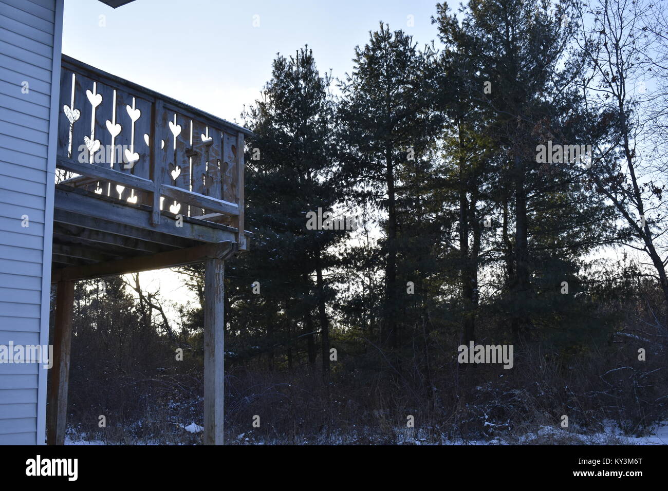 Wisconsin winter treeline Stock Photo