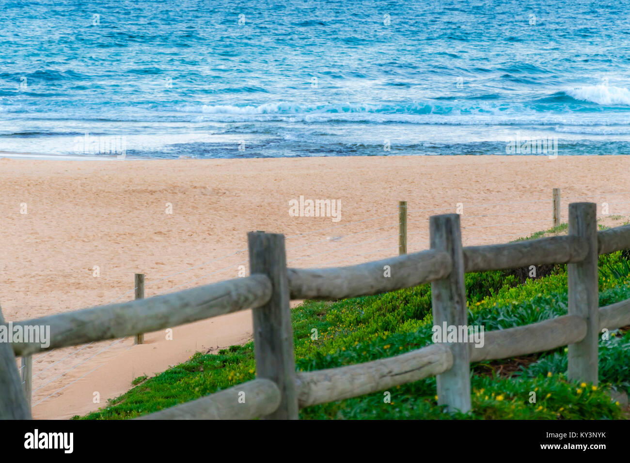Scenic view of abandoned sandy beach and ocean waves, wooden fence in foreground. Empty Mona Vale beach, Sydney northern beaches, Australia. Stock Photo