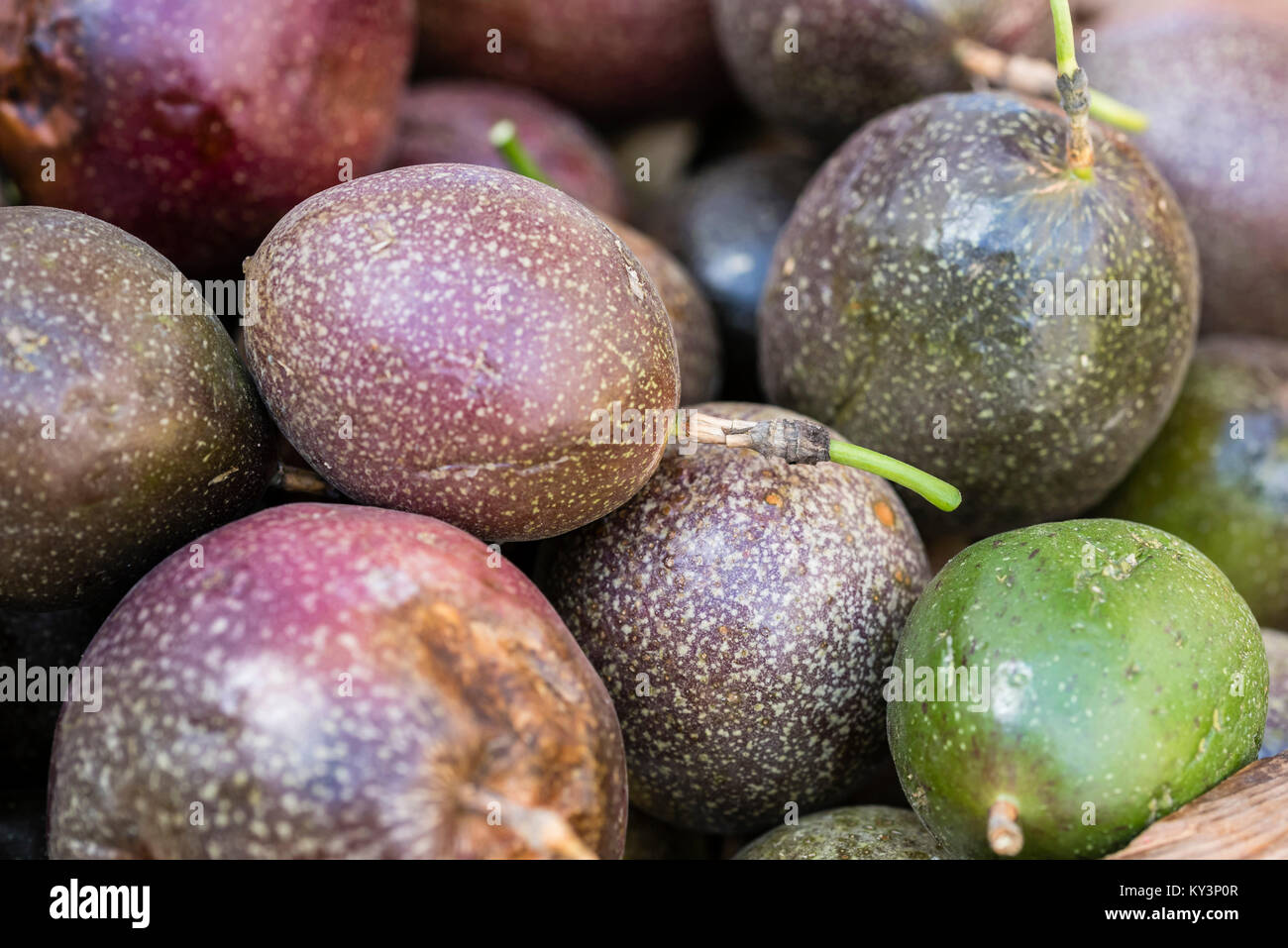 Purple passion fruit background, closeup.  Fresh Passionfruit, Maracuya, Passiflora edulis, Parcha displayed at market, frame filling, macro. Stock Photo