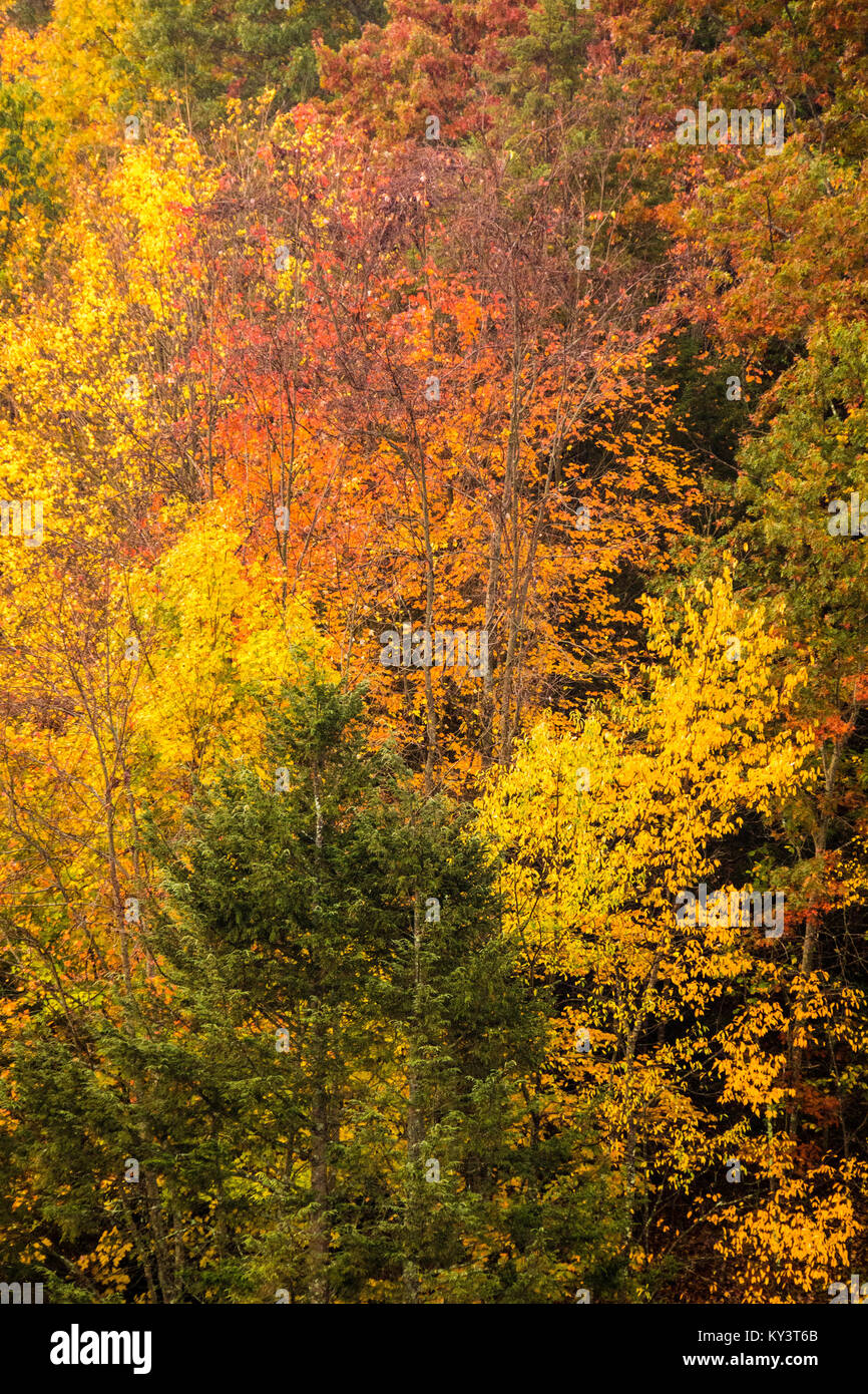 Saville Dam Barkhamsted Reservoir Barkhamsted, Connecticut, USA Stock