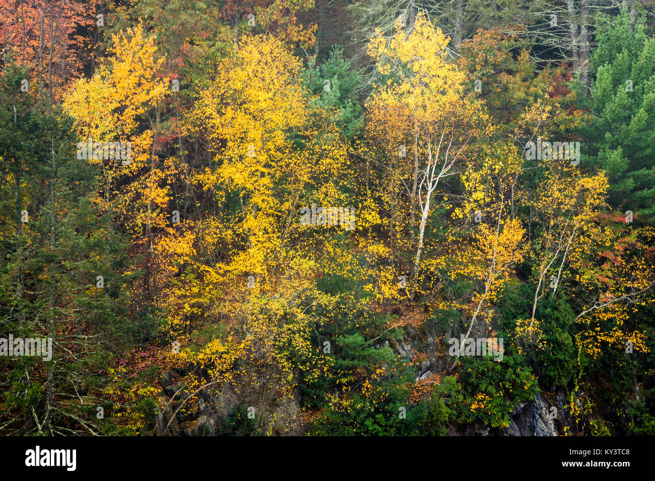 Saville Dam Barkhamsted Reservoir Barkhamsted, Connecticut, USA Stock