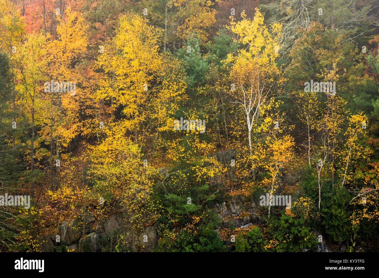 Saville Dam Barkhamsted Reservoir Barkhamsted, Connecticut, USA Stock