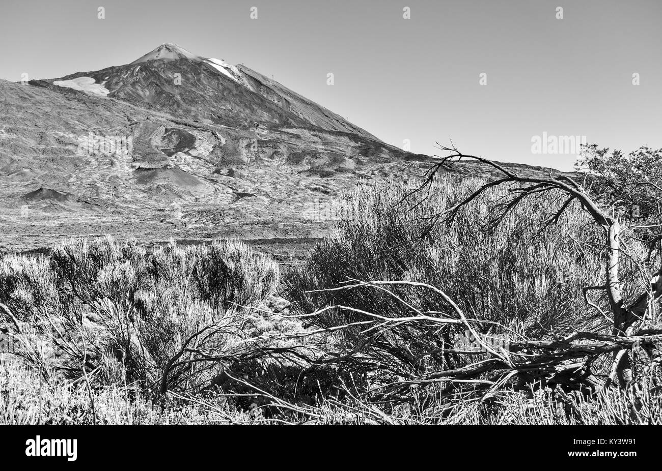 The Teide volcano (Pico del Teide) in Tenerife,  Canary Islands. Black and white landscape Stock Photo