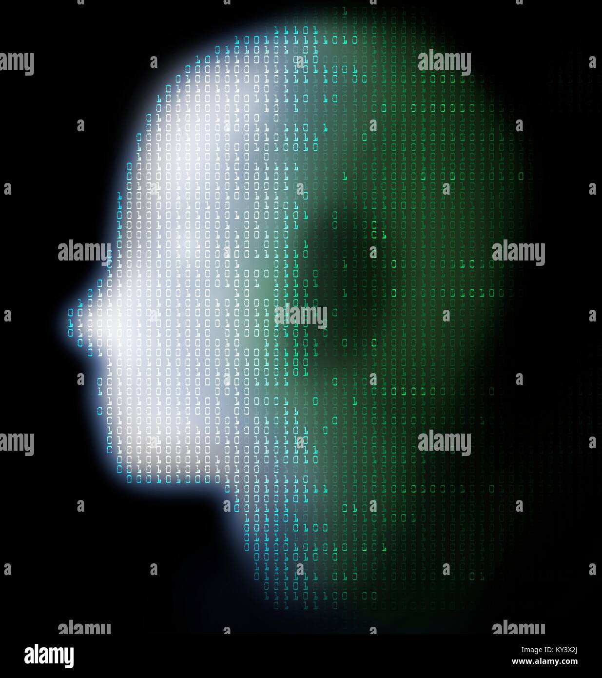 Artificial intelligence. Conceptual illustration of a human head overlaid with binary digits, representing artificial intelligence, the simulation of human intelligence by a machine. Binary numbers, which contain only 1 and 0, form the language of computers. Artificial intelligence is usually taken to mean a computer or machine that can think and learn independently of its original program. Stock Photo