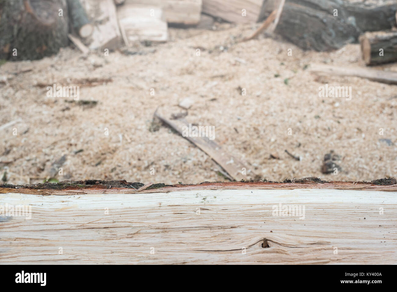 Oak firewood in front of blurry background with copy space, outdoors. Preparation for the heating season Stock Photo