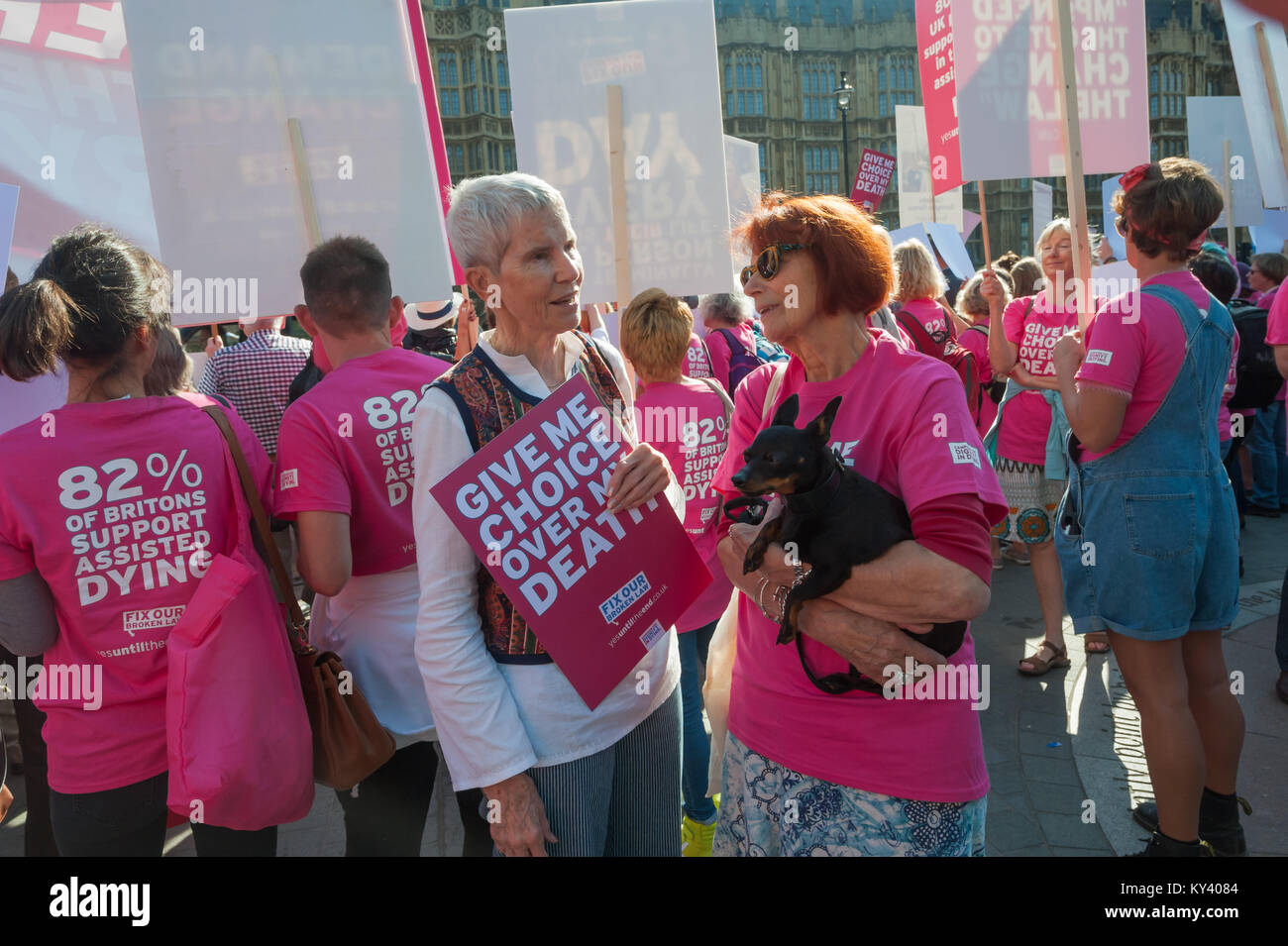 Supporters of the Assisted Suicide Bill in Old Palace Yard with Dignity in Dying t-shirts claim 82% pf Britons support assisted dying. Stock Photo
