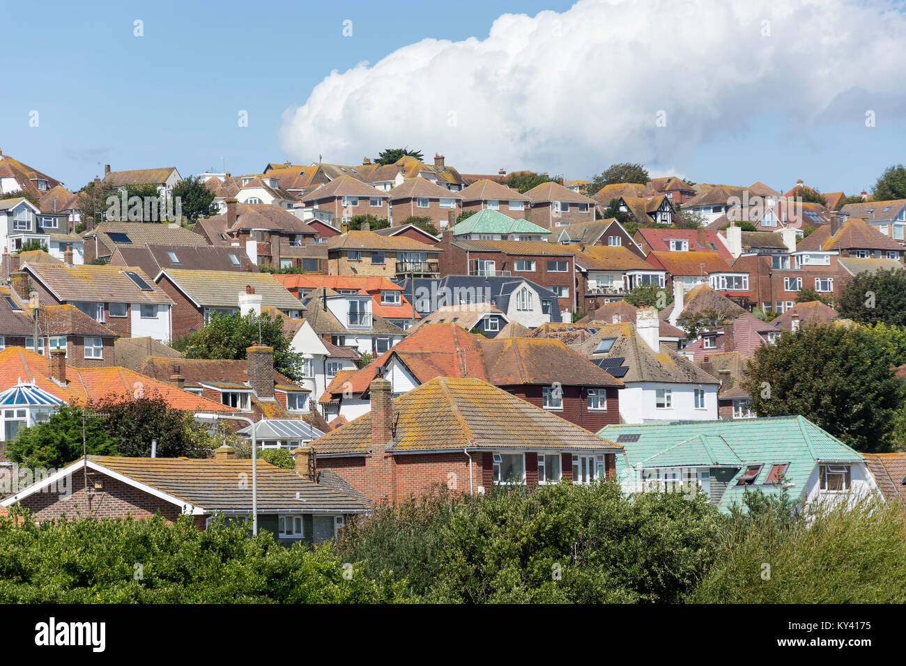 Residential houses, Arundel Drive West, Saltdean, East Sussex, England, United Kingdom Stock Photo