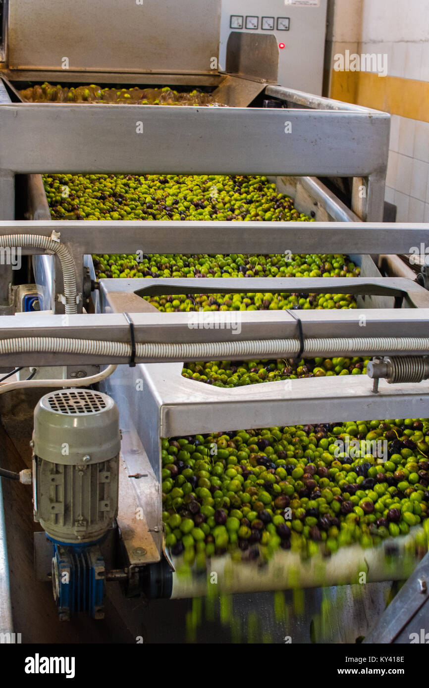 Olive Oil Press In Oil High Resolution Stock Photography and Images Alamy