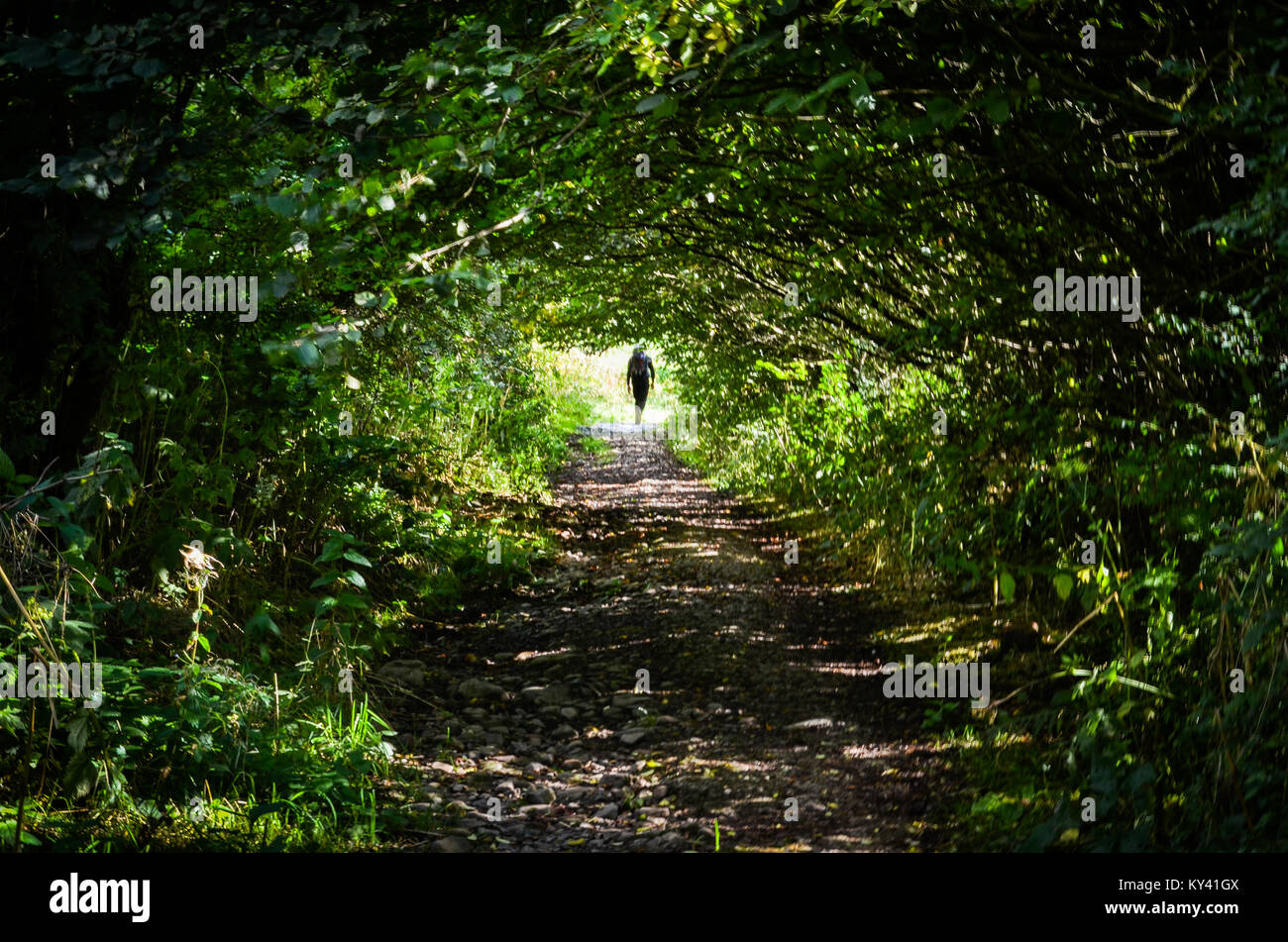 hiker, England's Coast to Coast Path, Cleator, England. Stock Photo