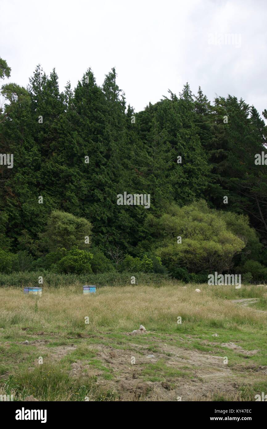 Honey Hives Farm Stock Photo - Alamy