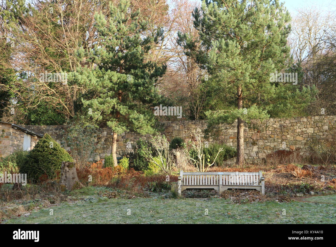 A wooden bench in the Walled Garden of the Public Park of Corstorphine. The shot was taken in January 2018 Stock Photo