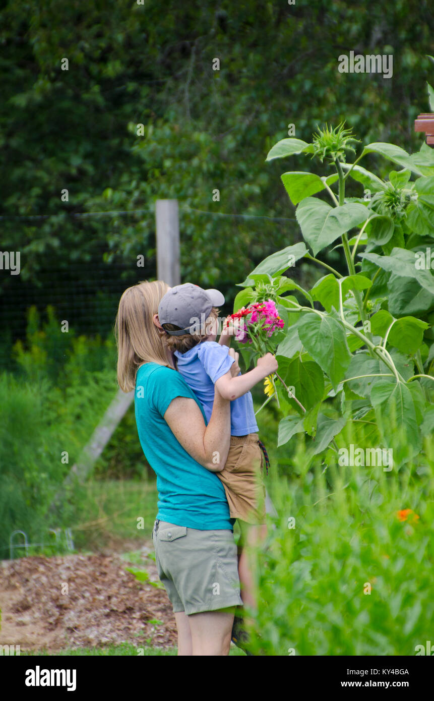 Mother and son in community garden, Maine Stock Photo