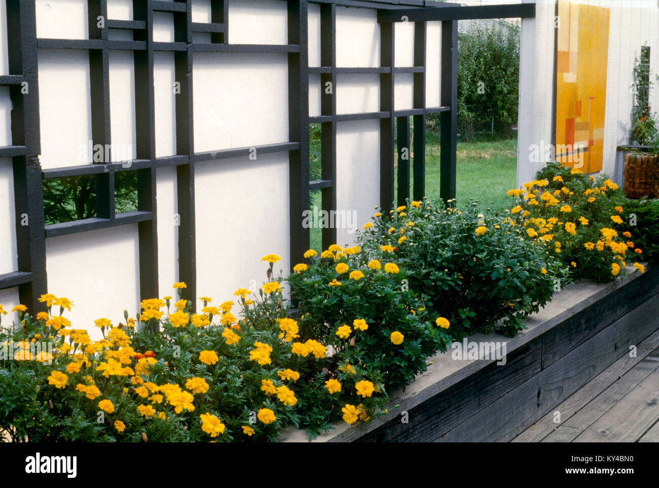 Outdoor deck with unique customized fence an extension of the