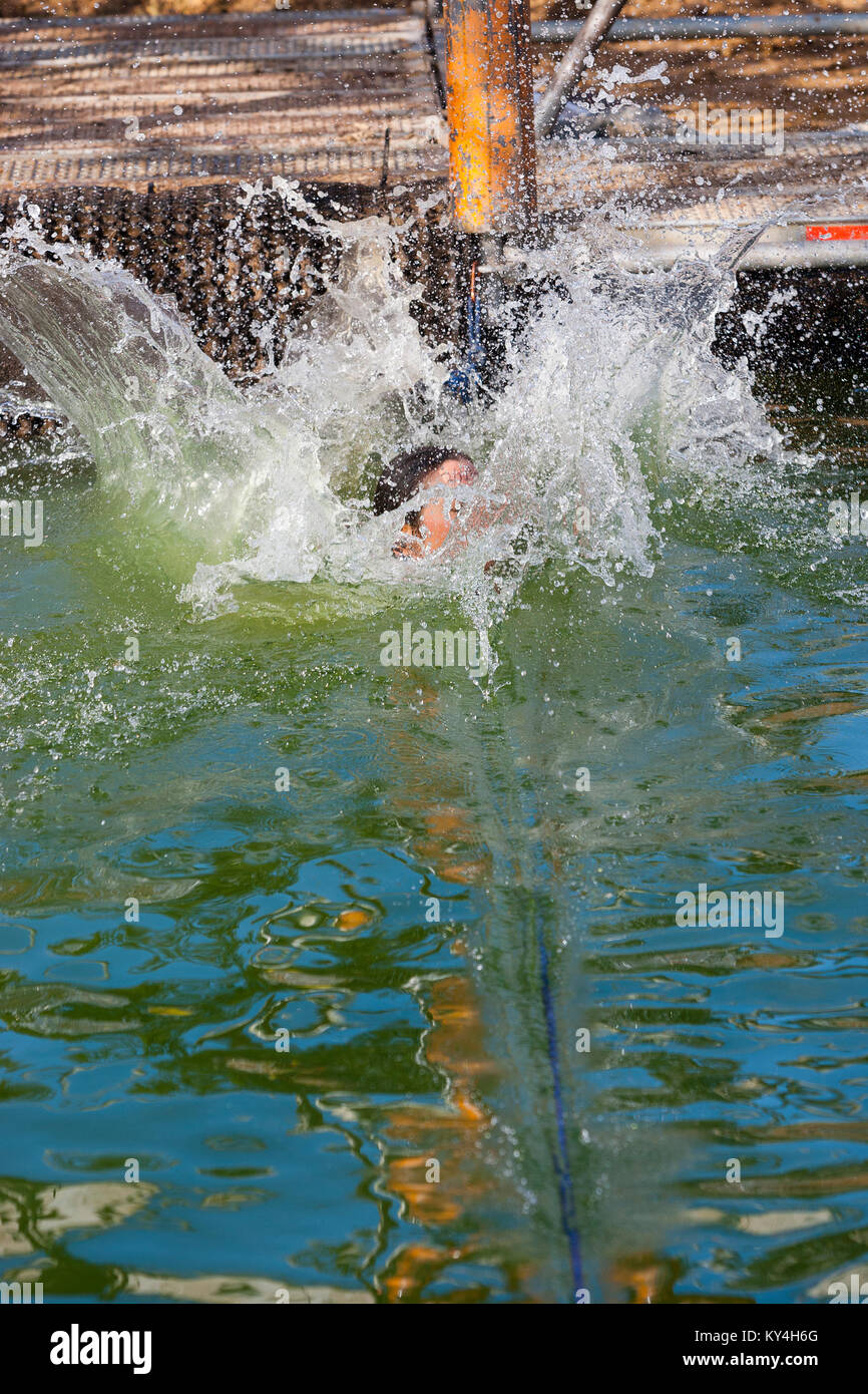Sussex, UK. A female competitor drops into the pool of water beneath the Hangin' Tough obstacle during a Tough Mudder event. Stock Photo