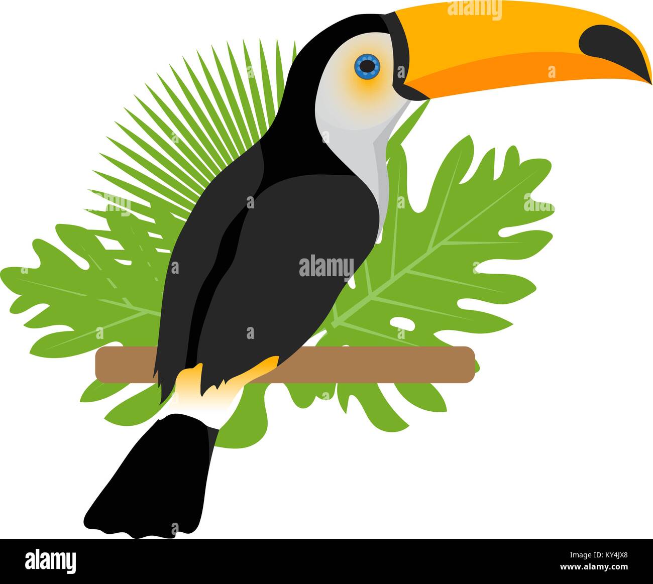 Toucan Cartoon High Resolution Stock Photography And Images Alamy