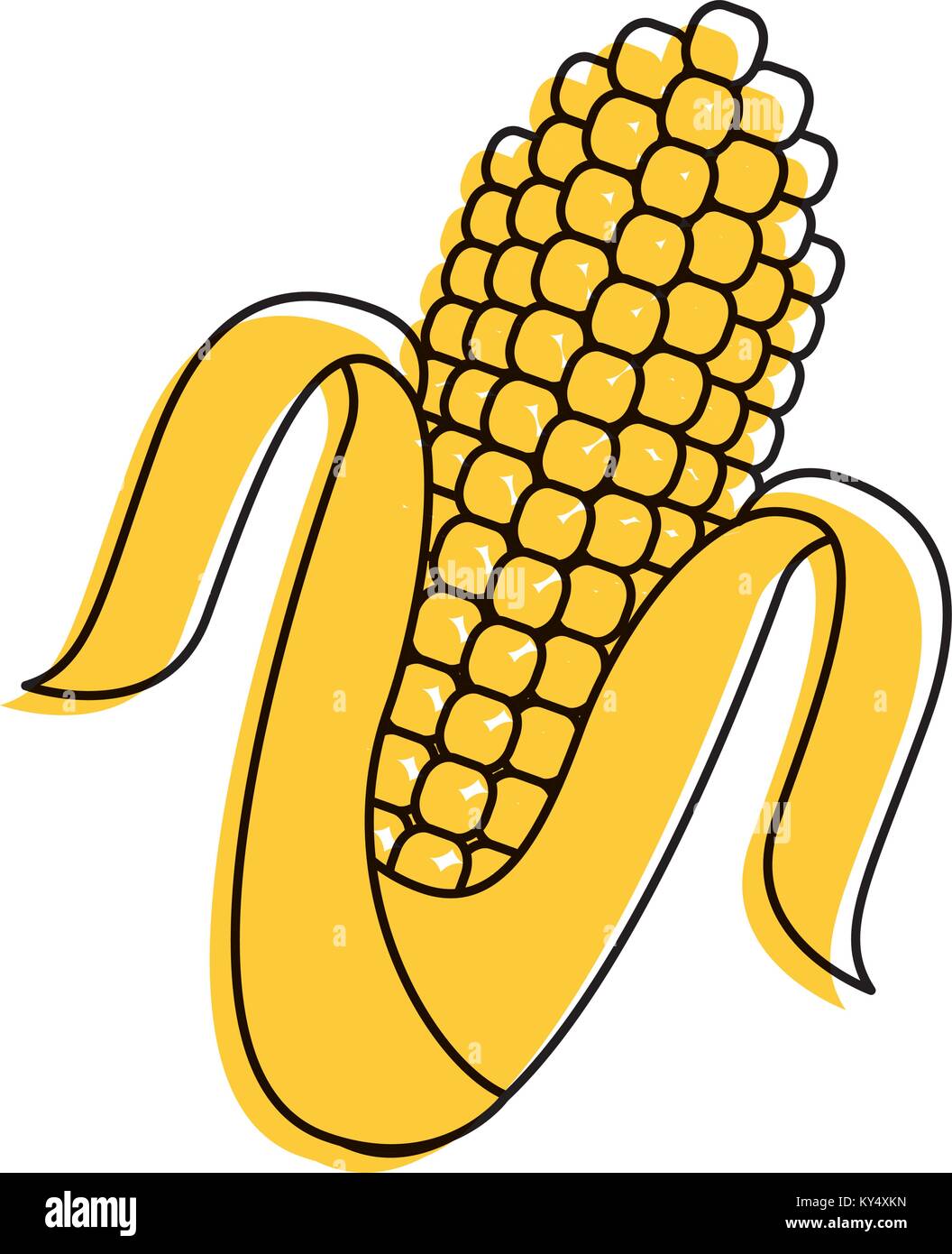 corn cob grain harvest raw icon Stock Vector Image & Art - Alamy