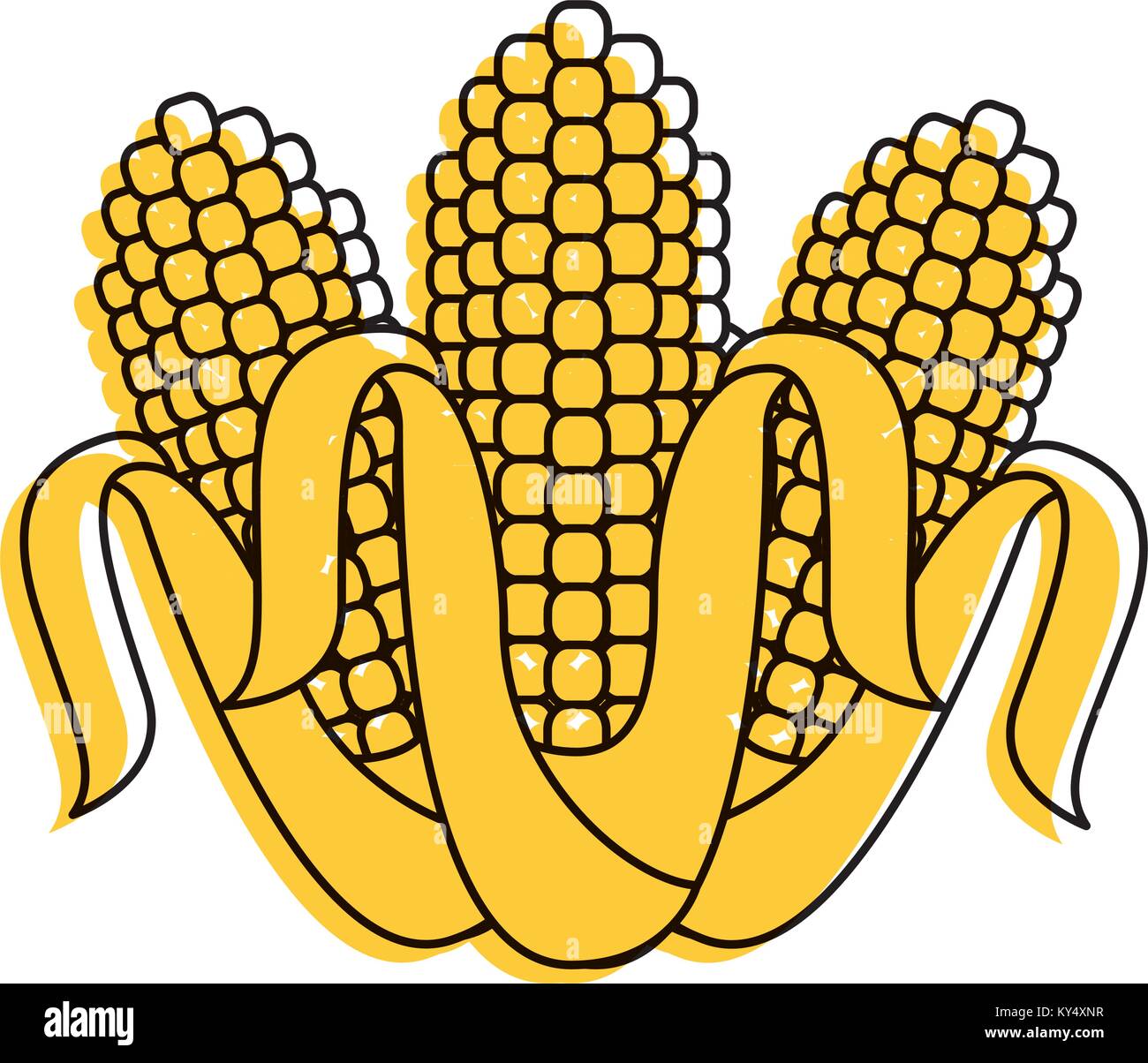 three corn grain food nutrition agriculture Stock Vector Image & Art