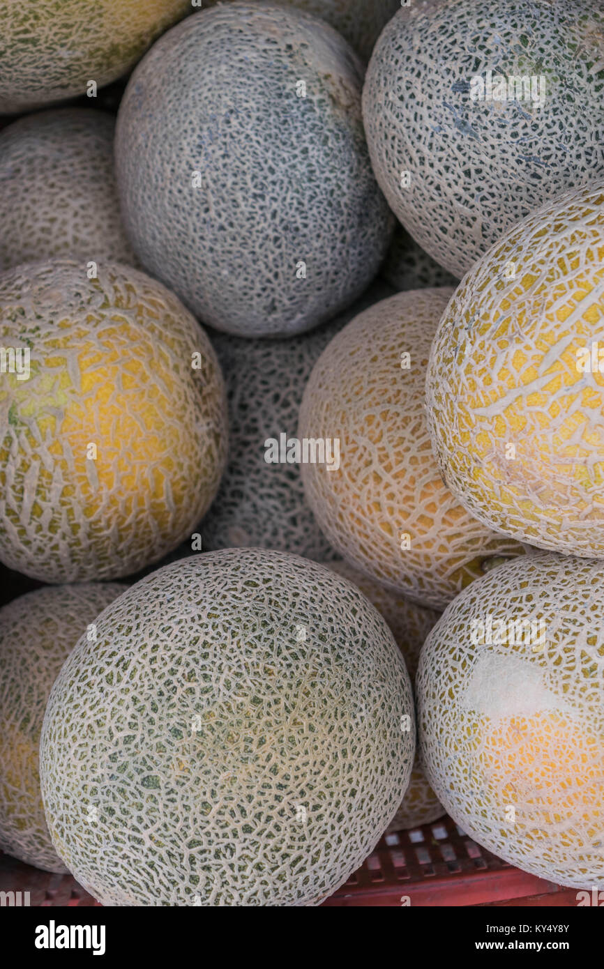 Many cantaloupes hires stock photography and images Alamy