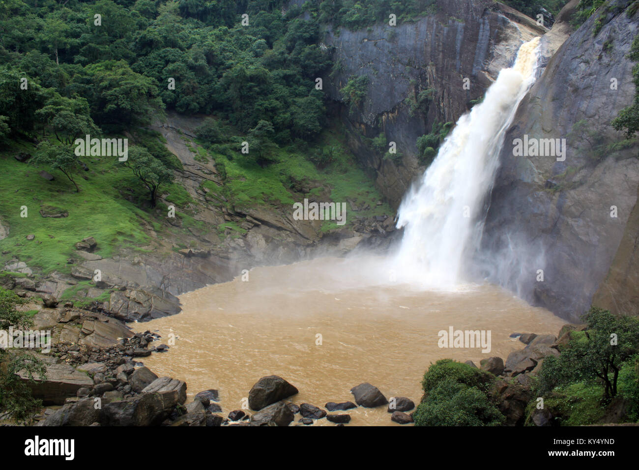 Badulla Image Green forest wnd big waterfall in Badulla, Sri Lanka Stock Photo - Alamy