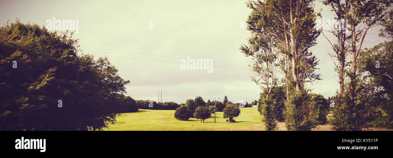 Fields and forest Stock Photo Alamy