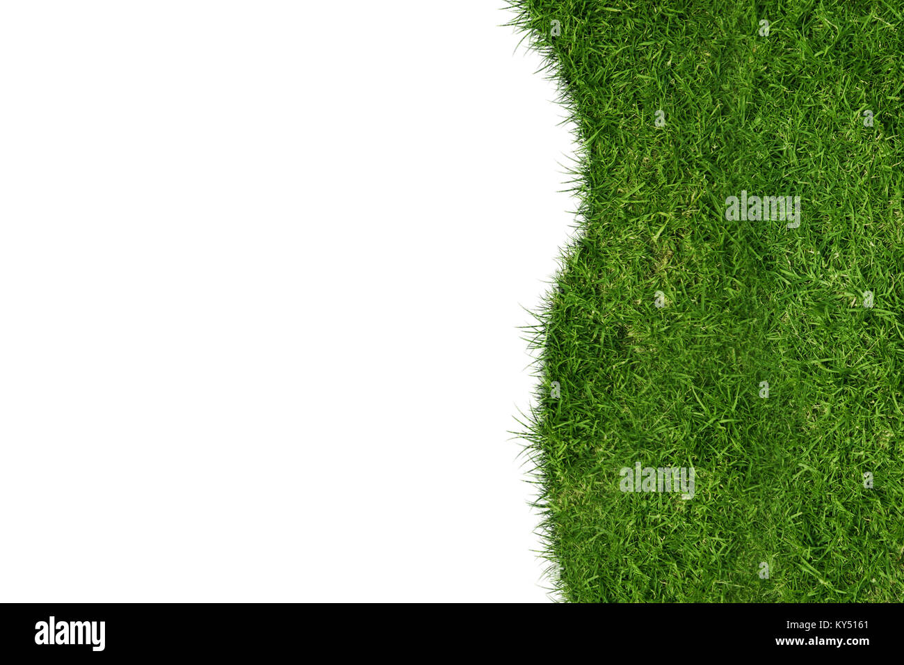 Half green and white Stock Photo Alamy