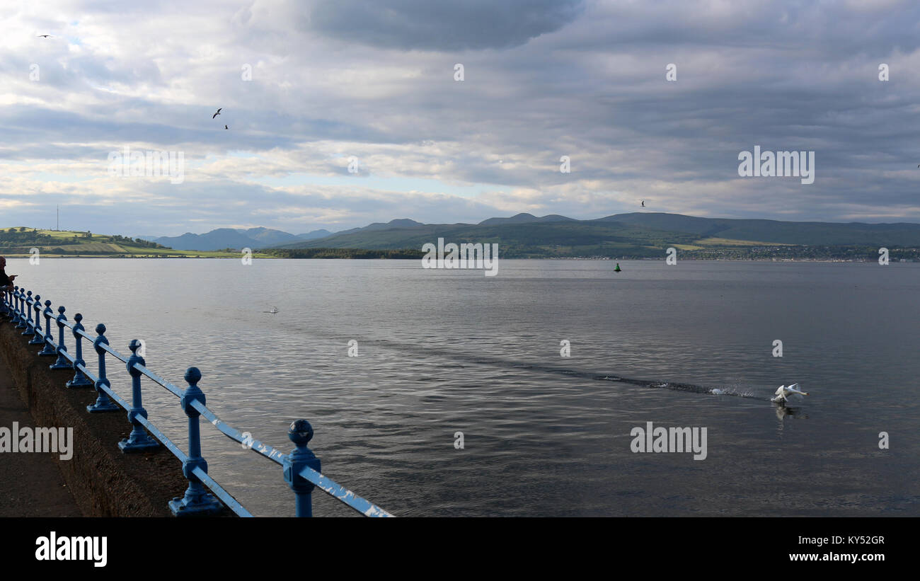 Esplanade, Greenock, Scotland, with a swan taking off in flight over