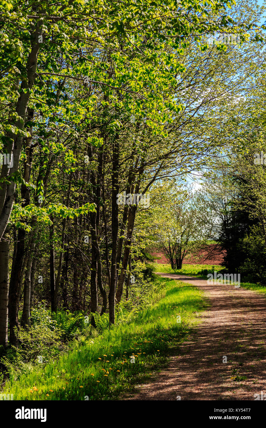 Springtime on the Confederation Trail in rural Prince Edward Island, Canada. Stock Photo