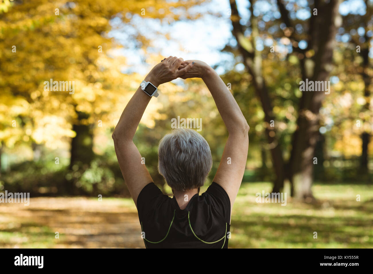 Rear view of senior woman practicing yoga in a park Stock Photo - Alamy